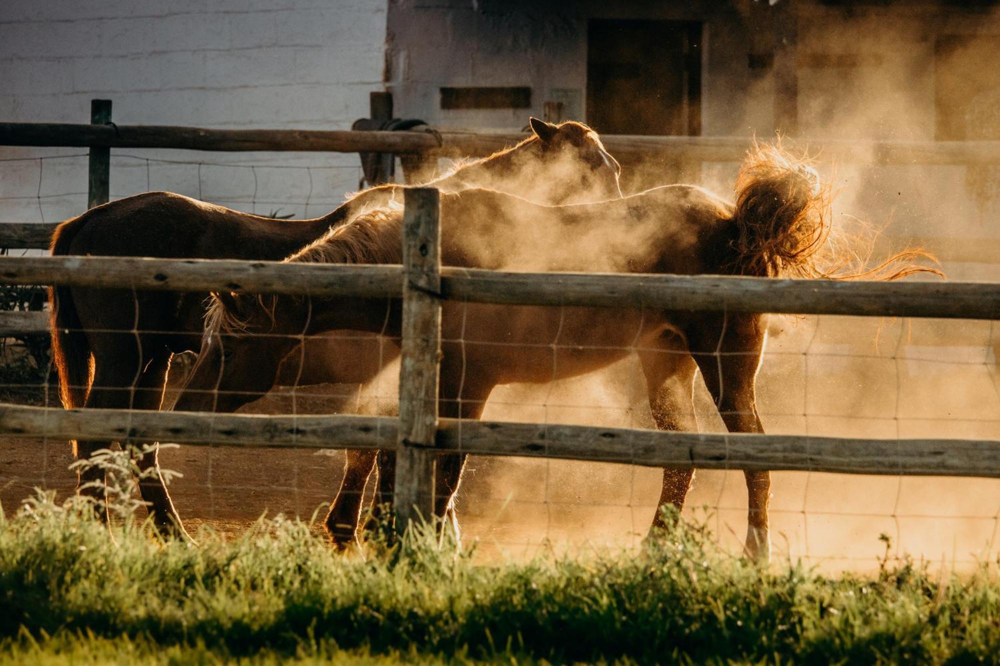 Mabuda Guest Farm Siteki Exteriér fotografie