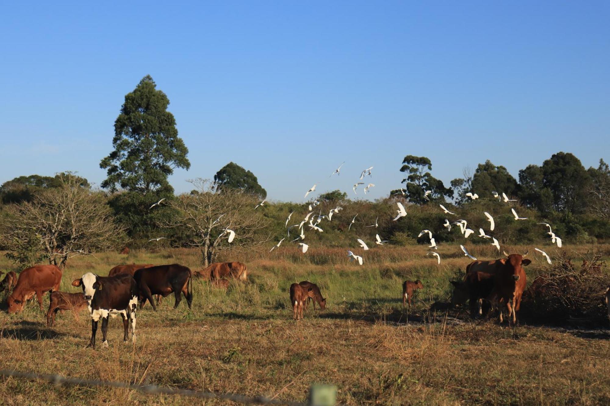 Mabuda Guest Farm Siteki Exteriér fotografie