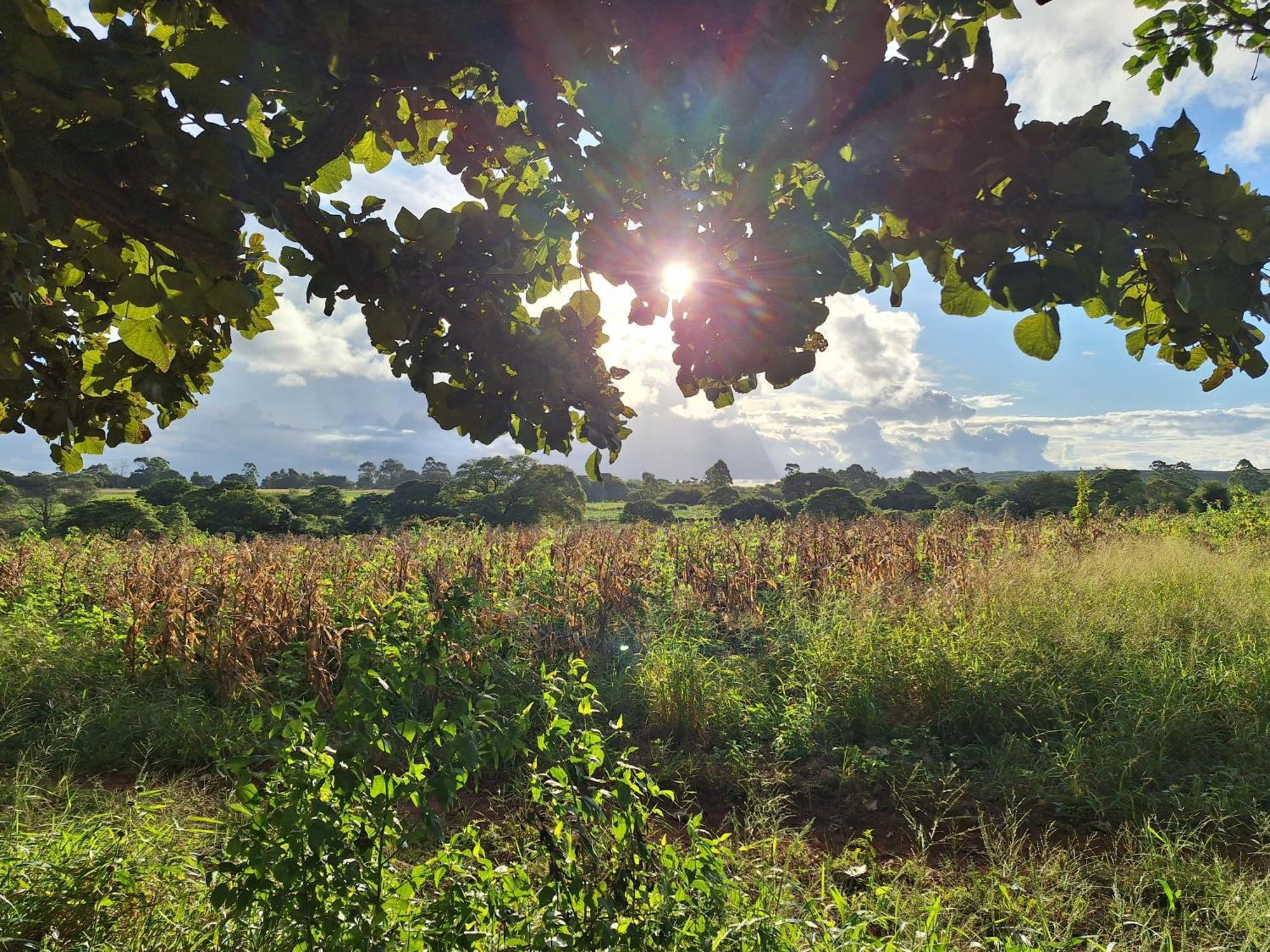 Mabuda Guest Farm Siteki Exteriér fotografie